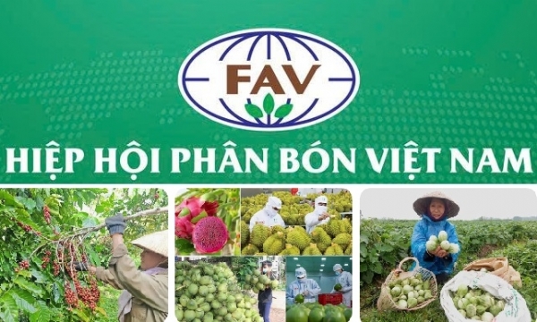 Chủ tịch Hiệp hội Phân bón Việt Nam Phùng Hà trả lời Báo Nông nghiệp và Môi trường về quản lý phân bón