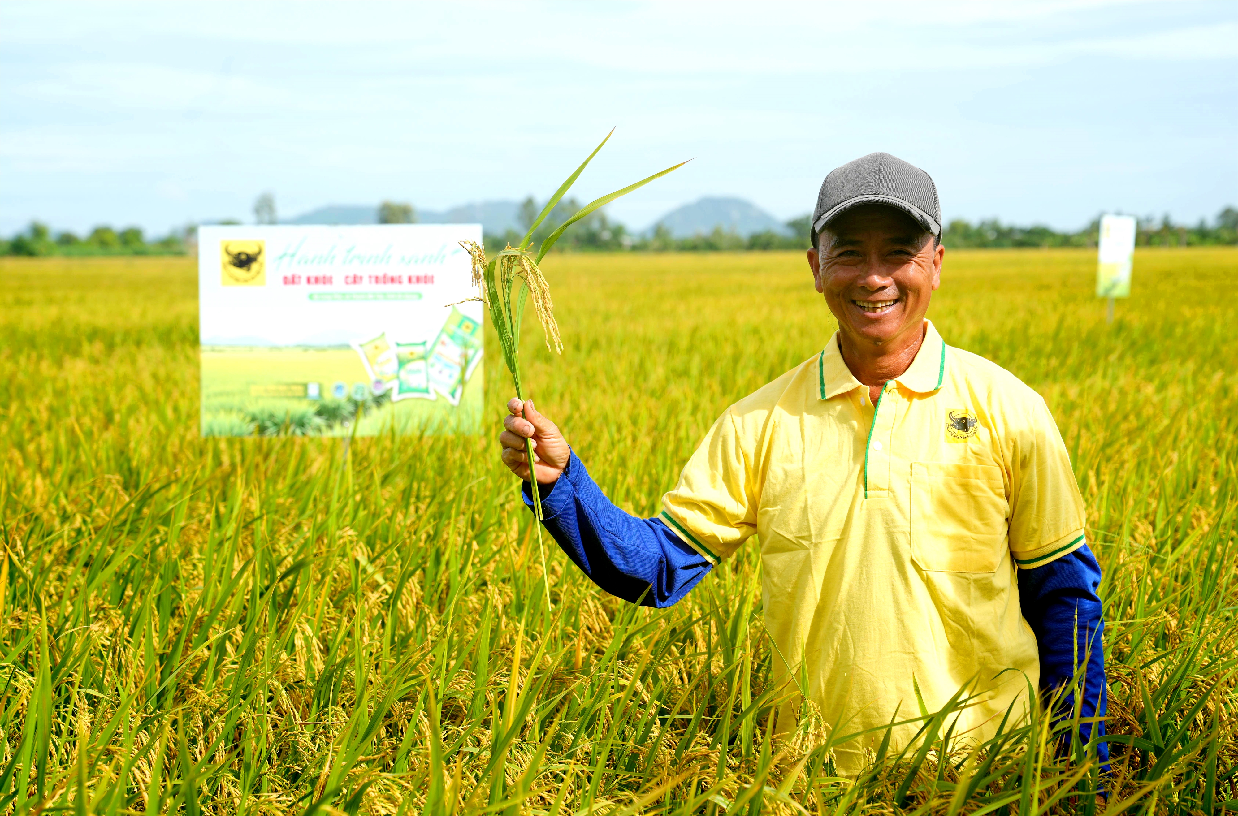 Nông dân tham gia mô hình “Hành trình Xanh – Đất khỏe, cây trồng khỏe” phấn khởi với ruộng lúa sinh trưởng tốt, đạt năng suất cao nhờ nâng pH đất phèn và áp dụng đồng bộ bộ giải pháp phân bón Đầu Trâu Bio-Canxi. (Ảnh: HTX)